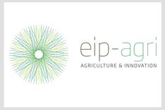 EIP Logo